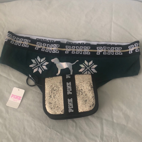 PINK Victoria's Secret Other - Pink Victoria’s Secret Christmas panty and wallet